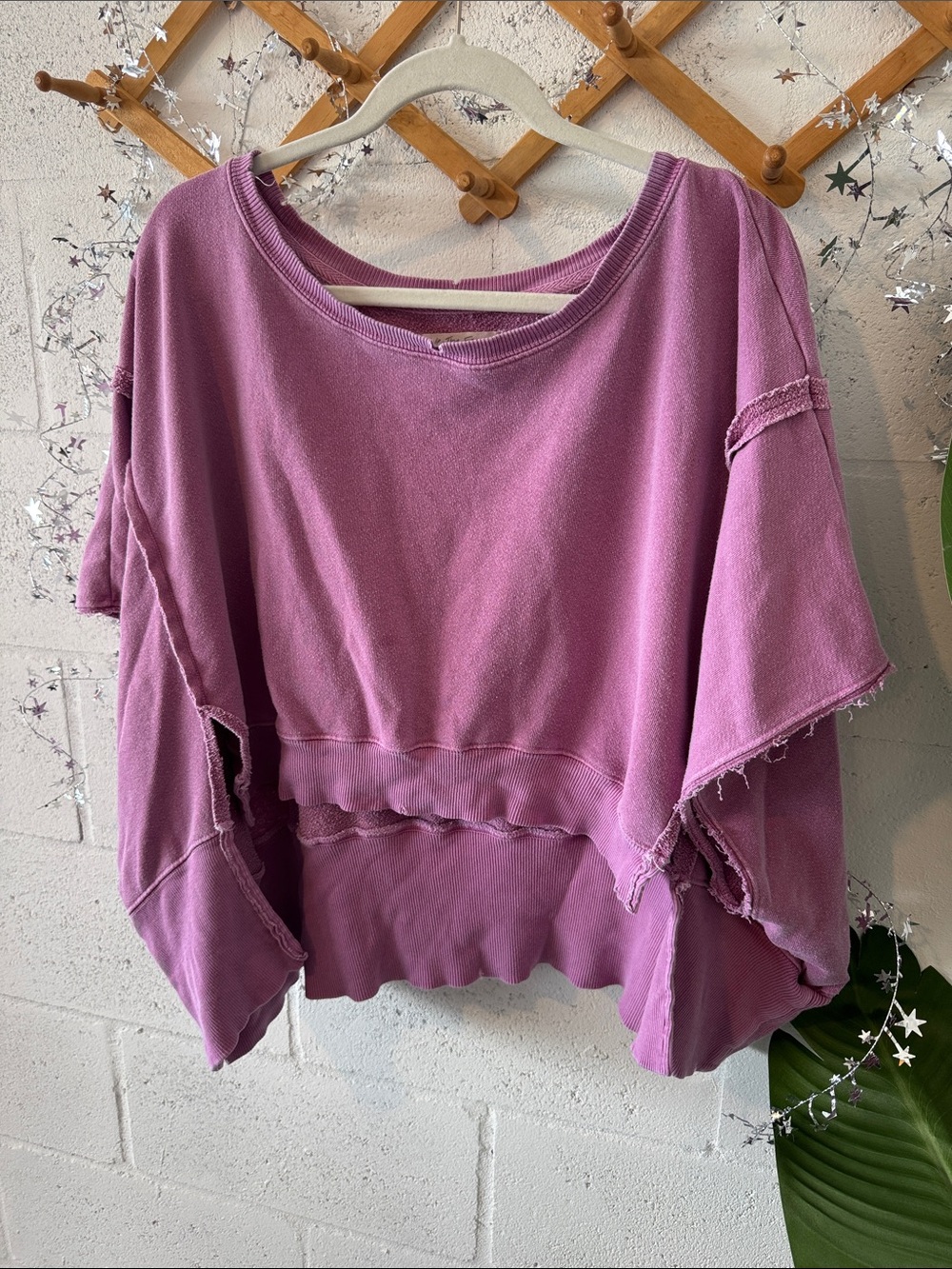 Free people cropped Camden sweatshirt